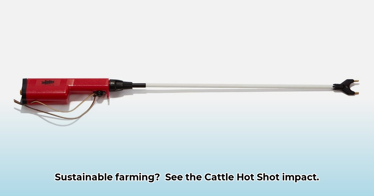 cattle-hot-shot-tractor-supply